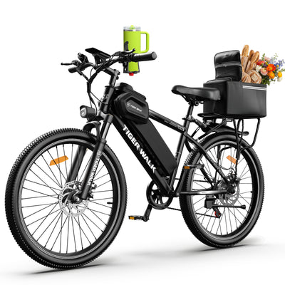 ReadyGo eBike