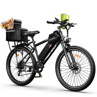 ReadyGo eBike