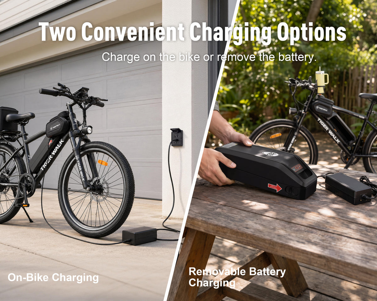 ReadyGo eBike